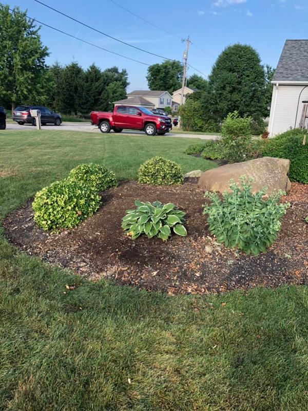 Gallery - Full Tilt Stump Grinding